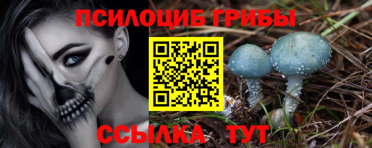 Артёмовский  наркотики  Вход с VPN  Галлюциногенные грибы GOLDEN TEACHER 